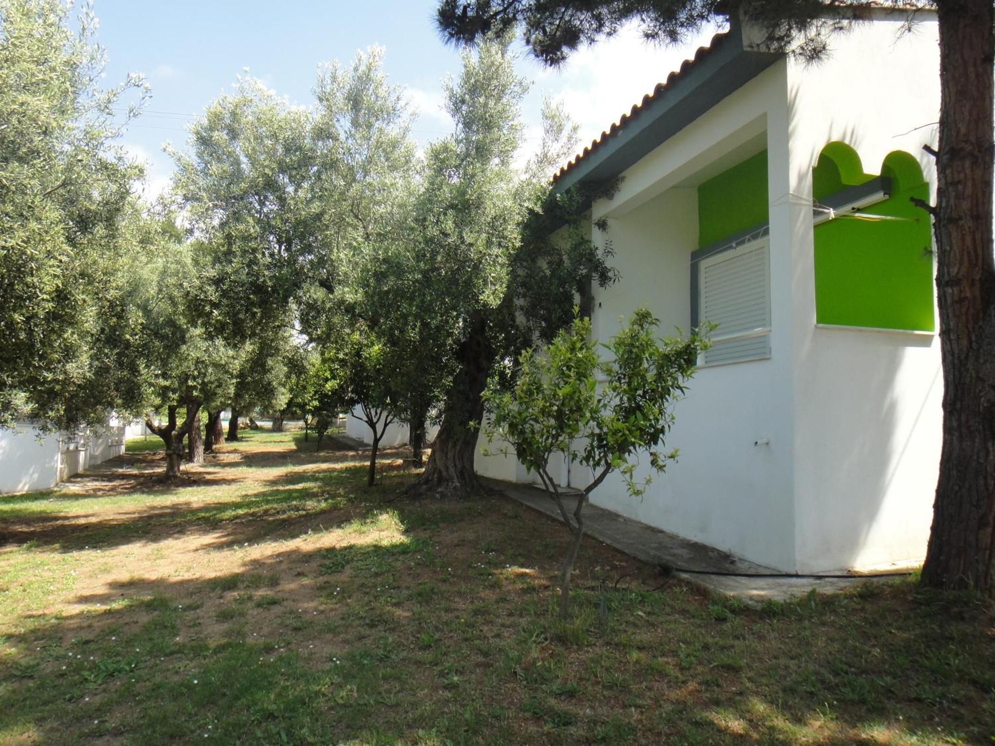 Bungalows Camping Kouyoni Gerakini Exterior photo